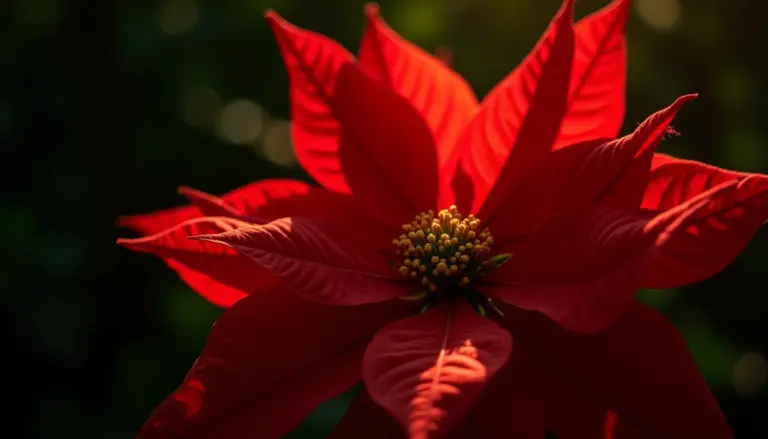 87 Ideias de Estrela de Natal: Significado e Como Usar na Decoração